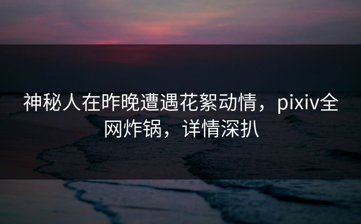 神秘人在昨晚遭遇花絮动情，pixiv全网炸锅，详情深扒