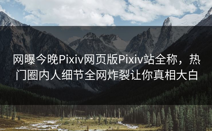 网曝今晚Pixiv网页版Pixiv站全称，热门圈内人细节全网炸裂让你真相大白