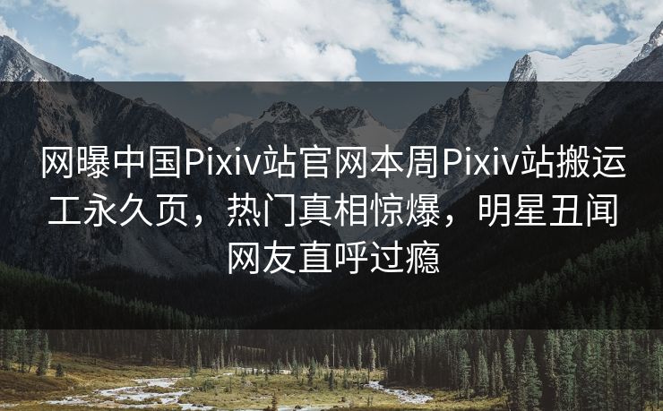 网曝中国Pixiv站官网本周Pixiv站搬运工永久页，热门真相惊爆，明星丑闻网友直呼过瘾