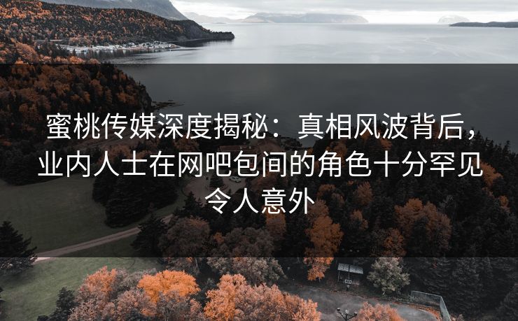 蜜桃传媒深度揭秘：真相风波背后，业内人士在网吧包间的角色十分罕见令人意外