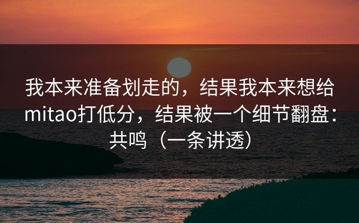 我本来准备划走的，结果我本来想给mitao打低分，结果被一个细节翻盘：共鸣（一条讲透）